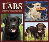Just Labs 2020 Box Calendar (Dog Breed Calendar) by 