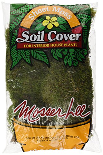 Mosser 0470 Natural Green Sheet Moss, 675-Square Inch - Thumbnail 3