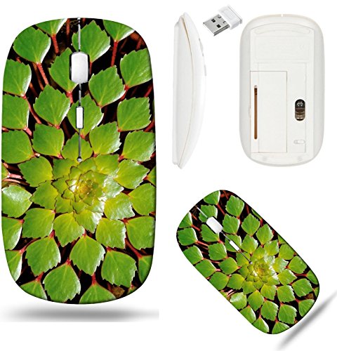 image for Liili Wireless Mouse White Base Travel 2.4G Wireless Mice with USB Rec