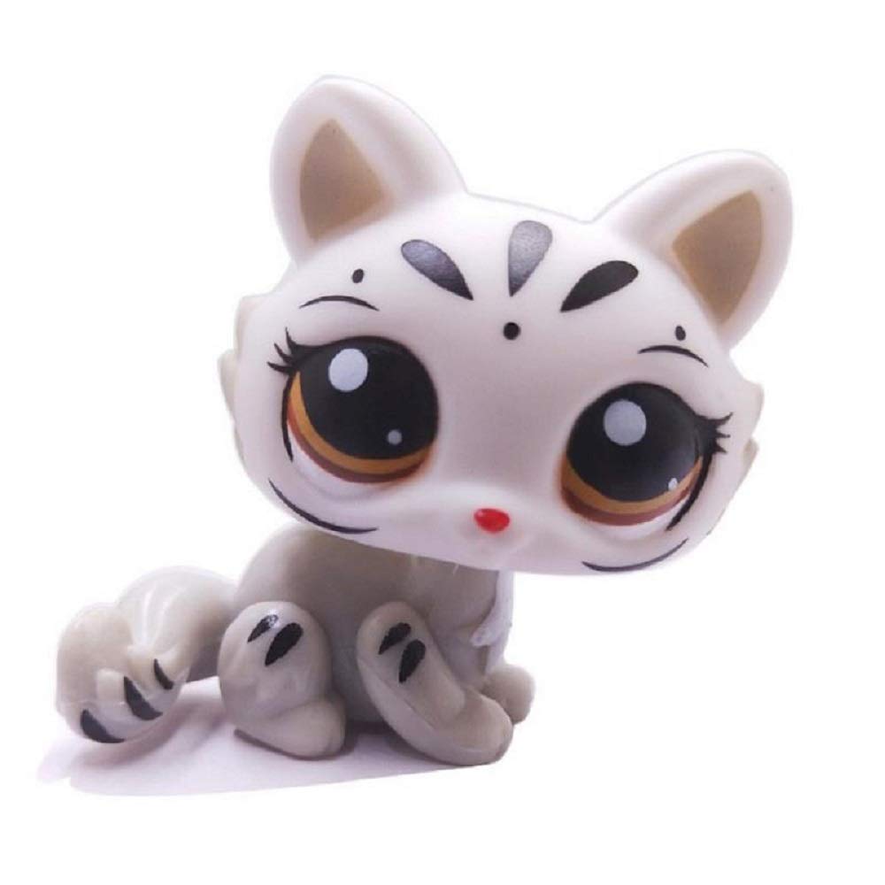 lps gray kitten