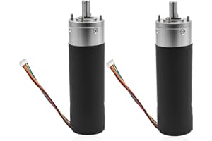 RAYESYTH 2 PCS 287298 Slide Motor Compatible with Lipp-ERT LCI Schwintek in-Wall Slide System, Schwintek Motor 500:1 High Torque Gear Ratio