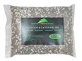 Succulent & Cactus Soil Mix - Premium Pre-Mixed Fast Draining Blend (6 Dry Quarts)