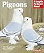 Pigeons (Complete Pet Owner's Manual) by 