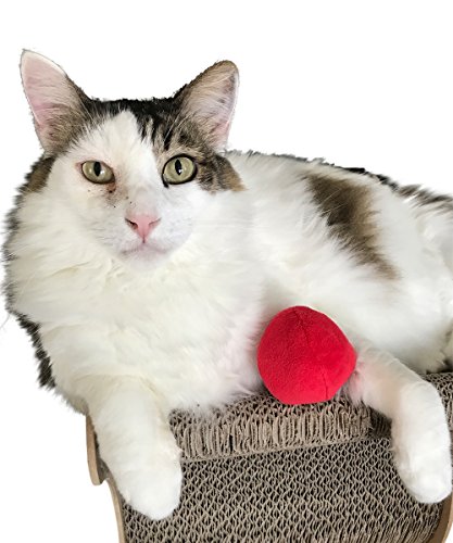 12 Pack Plush Squeaky Balls for Dogs or Cats - Red, Blue, Yellow