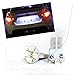 TGP T10 White 4 LED SMD License Plate Wedge Light Bulbs Pair 1990-2014 Compatible with Honda Accord (ALL Models)
