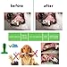 UPBASICN Dog Toothbrush Stick-Bite Brushing Stick Cleaning Interactive Nontoxic Bite Resistant Natural Rubber, Dental Hygiene Brushes for Small to Medium Dogs