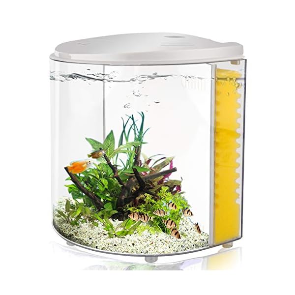 1 2 Gallon Betta Aquarium Starter Kits Fish Tank With Led Light And Filter Pump White Black 3white Web Digi Zone