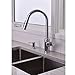 hansgrohe 04505000 Focus High Arc Kitchen Faucet, 16.1