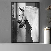 Framed Canvas Wall Art High Contrast Horse Animals Black and White Duotone Expressive Grey Horse Living Room Photography Rustic - 16x24 inches