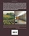 The Complete Bordeaux: The Wines The Châteaux The People