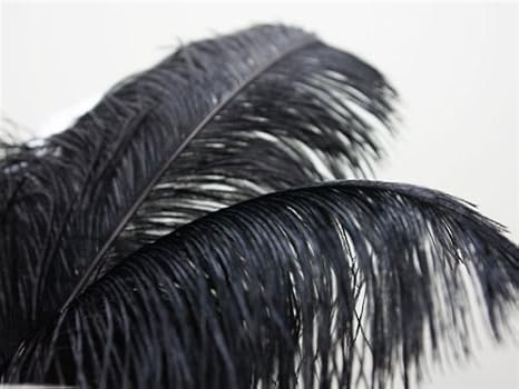 11 Pcs 24 26 Long Authentic Ostrich Feathers For Centerpieces