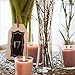Libbey Sabrina Bud Vase, 8-inch, Set of 8