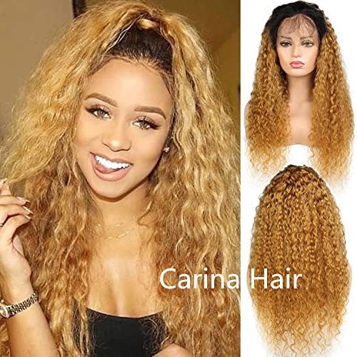 KRN Full Lace Human Hair Wigs Kinky Curly Wigs Ombre Blonde Color 27 Glueless Lace Front Hair for Black Women with Baby Hair by Carina Hair (24inch, 150% density lace fornt wig)