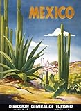 Mexico Cactus Desert White City. Vintage Travel Poster Reproduction(16.75
