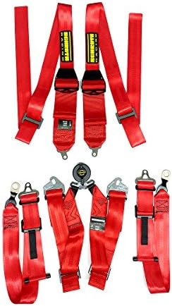 Schroth Racing 6 Point Camlock Racing Harness - Profi 2 GT3 for HANS Devices - Bolt-In Pull Down Lap Harness - Red