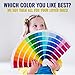 15 Paint Pens - Paint Marker Pens, Water Based Colors for Kids Adults, Sun - Water Resistant Fine Point, Paint on Rock, Wood, Glass, Ceramic, Metal, Clothes, Skin - Almost All Surfaces Model 2020