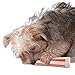 Petstages 596 Beyond Bone Synthetic Chew Dog Toy White, Petite