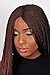 WOW BRAIDS Twisted Wigs, Micro Million Twist Wig - Color 35 - 22 Inches. Synthetic Hand Braided Wigs for Black Women.