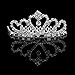 TOOGOO(R) Flower Rhinestone Bridal Tiara Crown w/Comb Pin for Wedding/Engagement/Prom