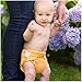 bumGenius Freetime All-in-One One-Size Snap Closure Cloth Diaper (Stellar)