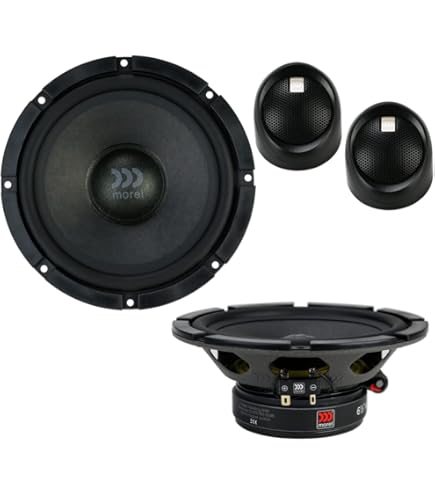 Amazon.com: MOREL Maximus 602 v2 6-1/2