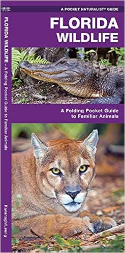 Florida Wildlife A Folding Pocket Guide To Familiar Animals Wildlife And Nature Identification Kavanagh James Waterford Press Leung Raymond 9781583550960 Amazon Com Books