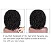 ENTRANCED STYLES Synthetic Curly Wig For Women Kinky Afro Wigs for Black Women Full Wigs Heat Resistant Fiber (280g 14