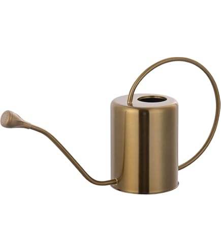 Amazon.com: Blomus Planto Stainless Steel Watering Can, 1 L