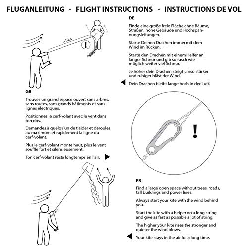 Koogel Drachen, Regenbogen Drachen Flugdrachen für Kinder und Erwachsen mit langem Schwanz und 50m Drachenschnur, 120 x 60 cm