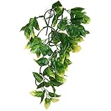 Exo Terra Plastic Terrarium Plant, Small, Amapallo