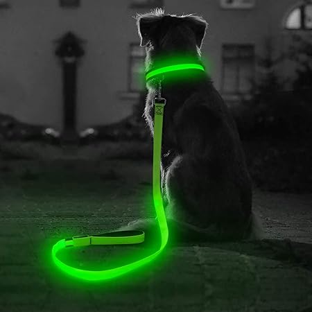 dog lead light