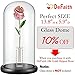 DEFAITH 24k Gold Dipped Rose with Crystal Heart Stand (Pink Original)