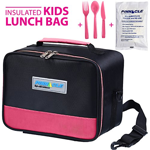 Pinnacle insulated reusable lunch bag, thermal lunch to…