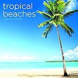 2017 Tropical Beaches Wall Calendar by 
