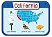 Kids USA Presidents and States Pocket Flash Cards - 95 cards with beautiful images for each State Bird, Flower, Flag, Tree and more - Educational Civics for Kids