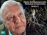 David Attenborough's Natural Curiosities, Season 2