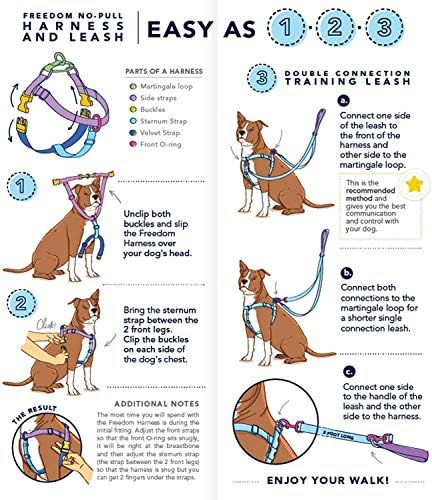 2 hounds design freedom no pull dog harness & leash