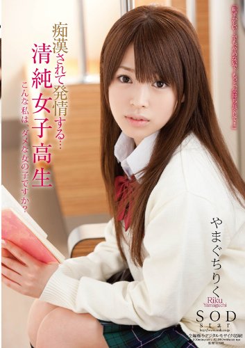 痴漢されて発情する・・・清純女子高生 やまぐちりく [DVD]