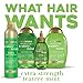 OGX Extra Strength Refreshing Scalp + Tea Tree Mint Conditioner, 13 Ounce