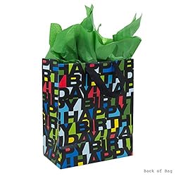 Hallmark 13" Large Birthday Gift Bag with Tissue