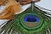 Ricdecor Handmade Indian Peacock Feathers Dream Catcher Wall Hanging Car Hanging Decoration Ornament 25.6 Inch Long (Dia 7