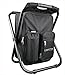 GearTOP Camping Chair Backpack, Multi-Function Fishing Stool and Beach Bag Plus Phone Pouch (Black)
