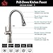 Kitchen Sink Faucet, GICASA Brushed Nickel Single Handle Pull Out Sink Faucet, Stainless Steel Pause Function Sprayer Pull Down Kitchen Sink Faucets