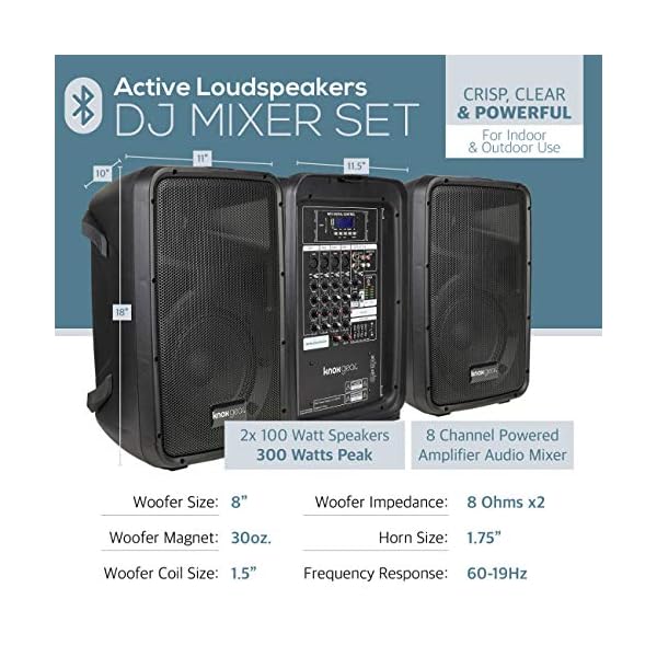 300 watt dj speakers