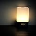 VEHOLION Wake Up Light Alarm Clock with Sunrise Simulation and 5 Natural Sounds,LED USB Bedside Lamp,Rechargeable,Touch Sensor Night Light with 3 Brightness,12/24 hour Gift,MY-03