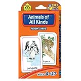 Animals of All Kinds Flash Cards cover