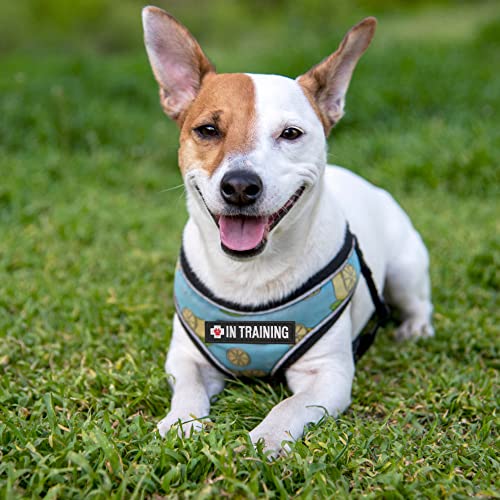 TACVEL 13 Pieces Dog Vest Patches, Service Dog Patches, Ask to Pet Do Not Pet Patch, Vest Removable Tactical Patches Hook and Loop Harness American Flag Dog Patches Set for Dog Harness Vest Collar