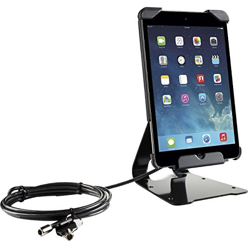 Tryten iPad 9.7 Flip Stand - Secure POS iPad Mini Stand, Multi-angle, Adjustable, Mounts - iPad Kiosk Stand - Includes Security Cable Lock with Keys
