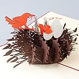 Paper Spiritz nest of Love 3D Pop up Greeting Card Best Wishes Thank You Mom Postcard with Envelope Laser Cut Mother's Day Birthday Post Card (Pack of 1)