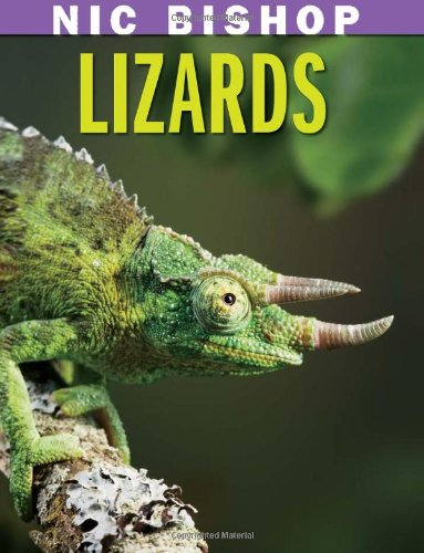 Nic Bishop: Lizards